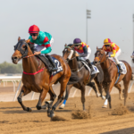 Betting on Canadian Horse Racing Events Online